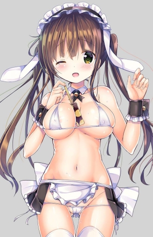 ビキニのエロ画像をランダムに貼っていくスレ