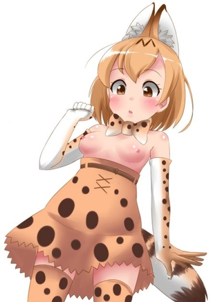【けものフレンズ】サーバルのエッチでがっつり抜けるエロ画像