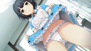 メイドのエロ画像詰め合わせ