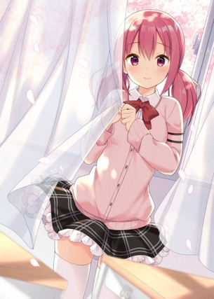 ニーソの画像フォルダを公開する！
