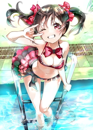 【二次】ラブライブ！のツインテール娘、にこにーこと矢澤にこちゃんのエロ画像まとめ！No.03【22枚】