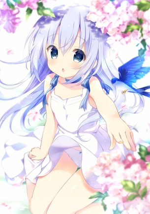 【二次】ご注文はうさぎですか?、チノちゃんこと香風智乃ちゃんのエロ画像まとめです！No.01【22枚】