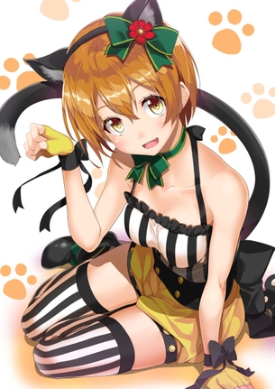 【二次】ラブライブ！の元気娘、星空凛ちゃんのエロ画像まとめにゃ！No.02【20枚】