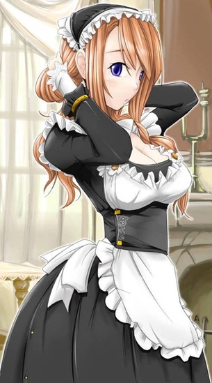 メイドを期待する人が集まる画像倉庫。