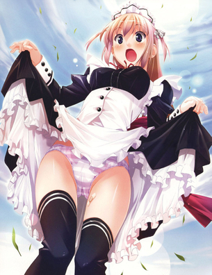【二次】男なら一度は見てみたい女の子が自らスカートをたくし上げるというシチュエーションのエロ画像