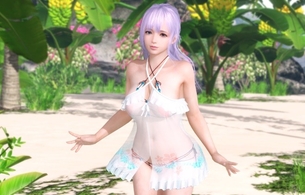 『DOAX ヴィーナスバケーション』シースルーでいろいろスケスケな丸見えのエロい水着！