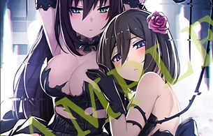 『デスエンドリクエスト2』店舗特典で女の子の裸みたいな姿や下着姿などエロイラスト！