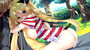 【エロゲ】にゃんと素敵な夏色デイズ【HCG】