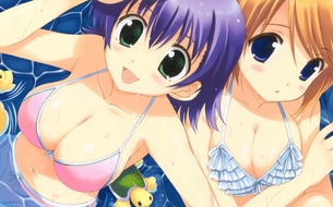 【2次】いろんなものを挟みたくなる巨乳の 谷間 の二次エロ画像 その13【谷間】