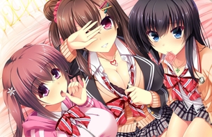 【2次】よりどりみどりな美少女 ハーレム 二次エロ画像 その3【ハーレム】