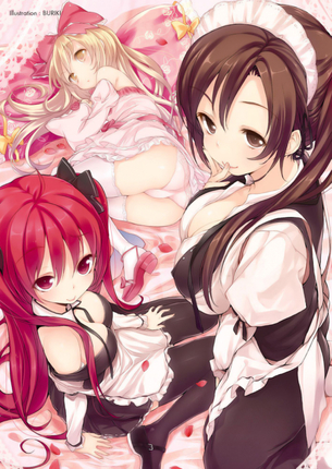 【二次元】朝から「ご奉仕です」とかいってえっちなことしてくれるメイドさんとか雇ってみたい件