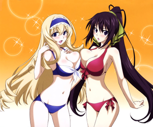 【インフィニット・ストラトス】ISの剥ぎコラやエロ画像 その29