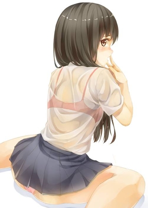【二次】夏服で白いシャツの下からブラジャー透けまくってる何か甘酸っぱいエロ画像まとめ
