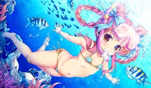やっぱりIKEAのサメなんだよなぁ