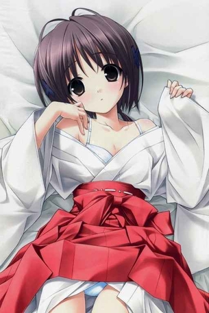 巫女の二次エロ画像を愛でる。