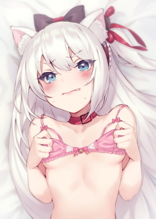 【二次】銀髪とケモミミの相性は最高【エロ画像】