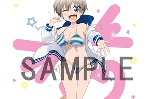 『宇崎ちゃんは遊びたい！』女の子がエロいおっぱいの水着姿のエロいタペストリー！