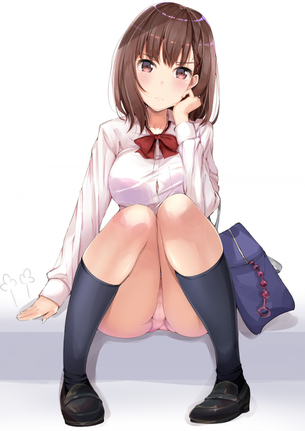 【二次】甘酸っぱい青春の匂いが漂う美少女たちのパンチラ画像まとめ