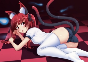 体操服・ブルマが好きすぎて画像がいくらあっても足りない