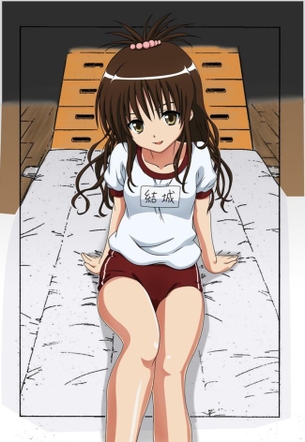 体操服・ブルマの二次エロ画像を愛でる。